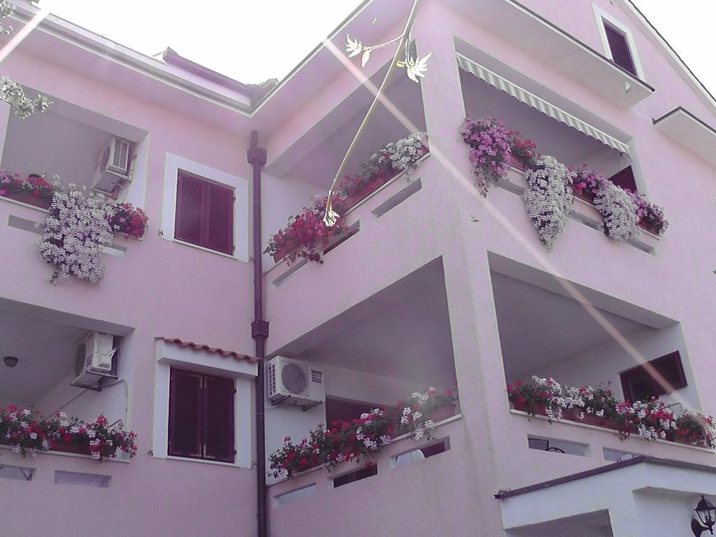 Apartments Lavanda 1 نجيفيش المظهر الخارجي الصورة