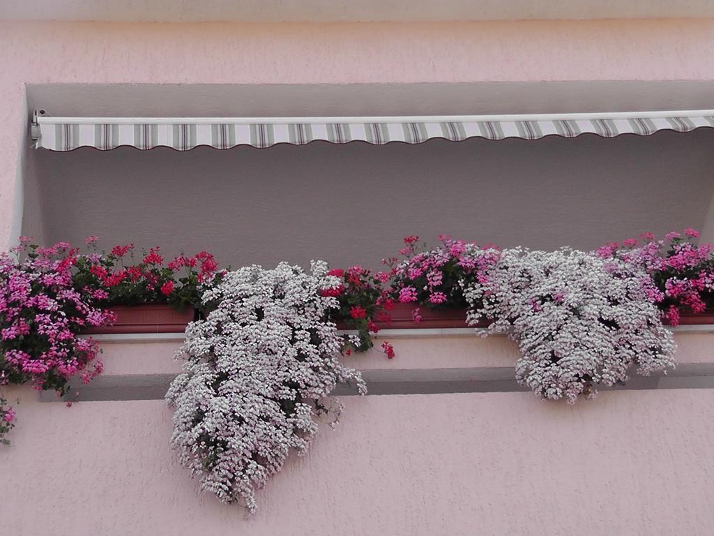Apartments Lavanda 1 نجيفيش المظهر الخارجي الصورة